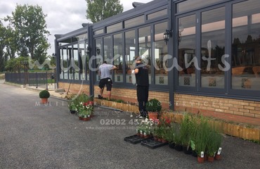 Major Plants Ltd - Before after - London - UK - Image 26