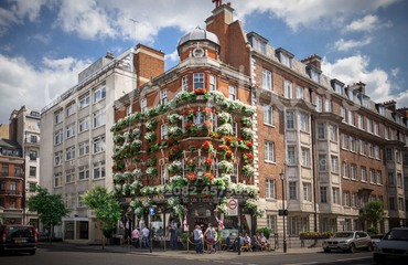 Major Plants Ltd - Before after - London - UK - Image 33