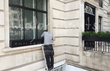 Major Plants Ltd - Before after - London - UK - Image 34