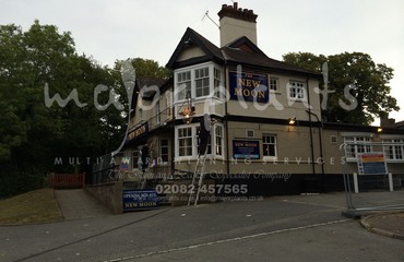 Major Plants Ltd - Before after - London - UK - Image 38