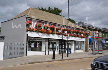 Major Plants Ltd - Before after - London - UK - Image 43