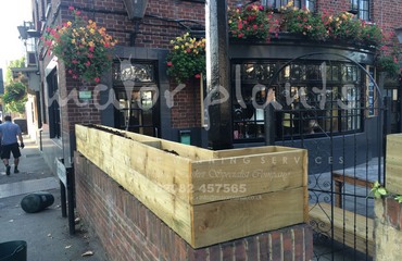 Major Plants Ltd - Before after - London - UK - Image 46