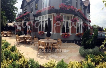 Major Plants Ltd - Before after - London - UK - Image 53
