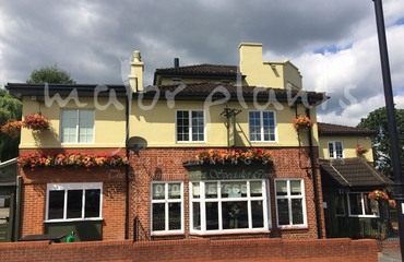 Major Plants Ltd - Before after - London - UK - Image 67