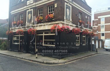 Major Plants Ltd - Hanging Basket Services - London - UK - Image 22