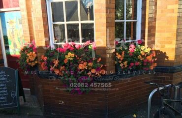 Major Plants Ltd - Hanging Basket Services - London - UK - Image 29