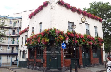 Major Plants Ltd - Hanging Basket Services - London - UK - Image 184